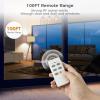 imageTESSAN Remote Control Outlet Plug Wireless Light Switch with 2 Independent Sockets ONOff Remote Outlet Switch for Indoor Lights Lamps Fans Home Small Appliances 100 Ft Range1875WRectangle1AC